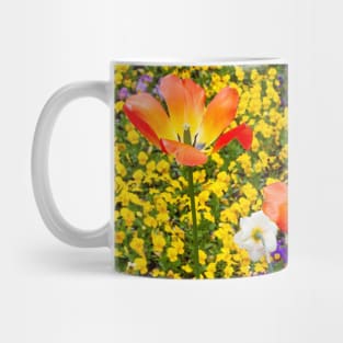 Rainbow of Flowers in Riga, Latvia (Europe) Mug